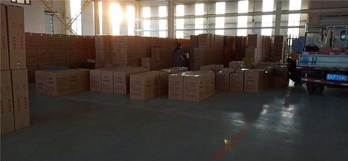 塑料格柵與土工模袋 廠家直銷的高效工程材料選擇