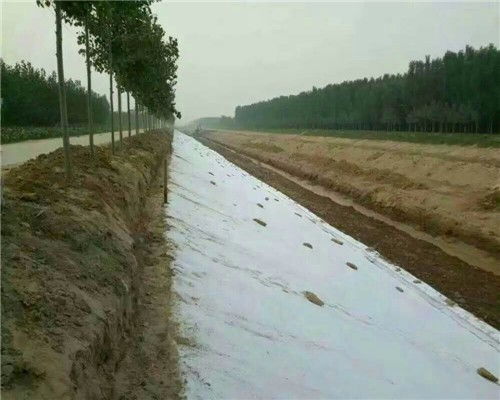 黃南300g護坡防水土工布 優質防護，當日發貨，歡迎選購與格柵搭配使用